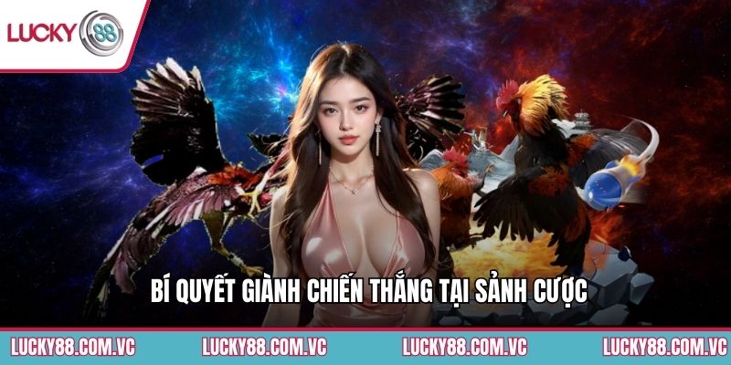Bí quyết giành chiến thắng tại sảnh cược
