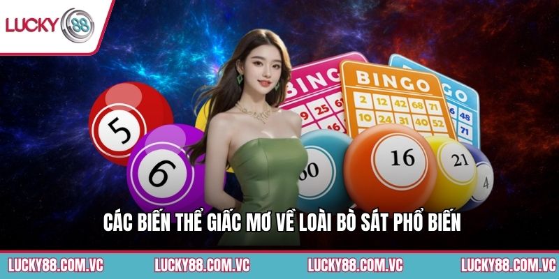 Các biến thể giấc mơ về loài bò sát phổ biến
