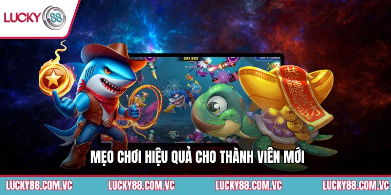 Mẹo chơi hiệu quả cho thành viên mới