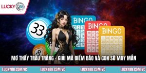 Mơ Thấy Trâu Trắng - Giải Mã Điềm Báo Và Con Số May Mắn