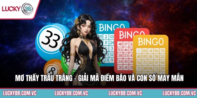 Mơ Thấy Trâu Trắng - Giải Mã Điềm Báo Và Con Số May Mắn