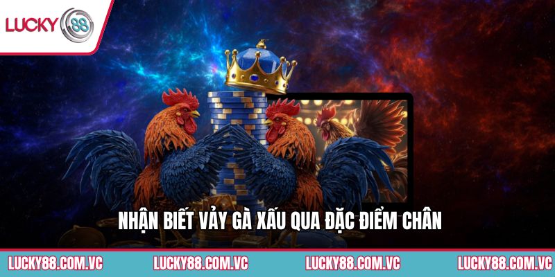 Nhận biết vảy gà xấu qua đặc điểm chân