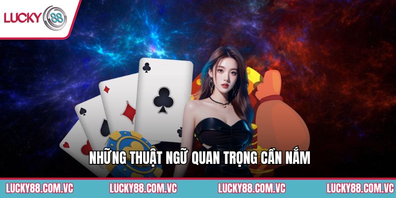 Những thuật ngữ quan trọng cần nắm
