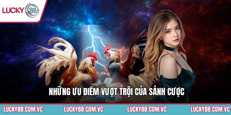 Những ưu điểm vượt trội của sảnh cược