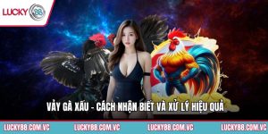 Vảy Gà Xấu - Cách Nhận Biết Và Xử Lý Hiệu Quả